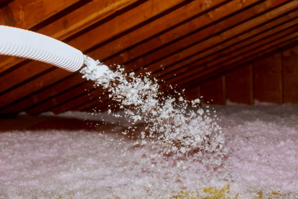 Best Residential Insulation Services  in Roanoke, IN