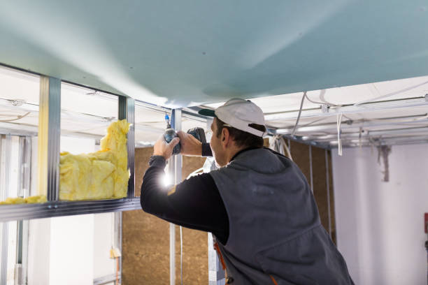 Best Crawl Space Insulation  in Roanoke, IN