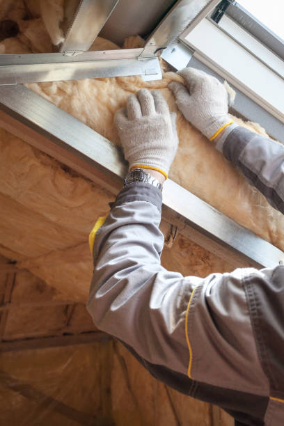 Best Insulation for New Construction  in Roanoke, IN