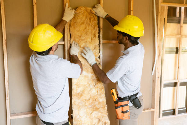 Best Professional Insulation Contractor  in Roanoke, IN