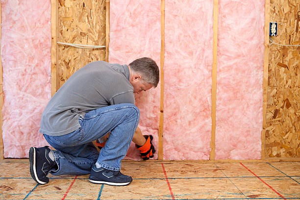 Best Home Insulation Services  in Roanoke, IN