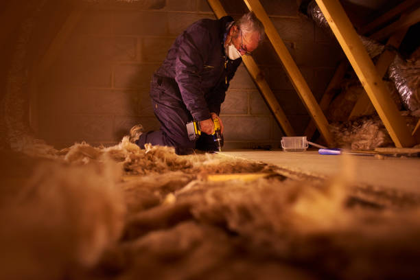 Best Energy-efficient Insulation  in Roanoke, IN