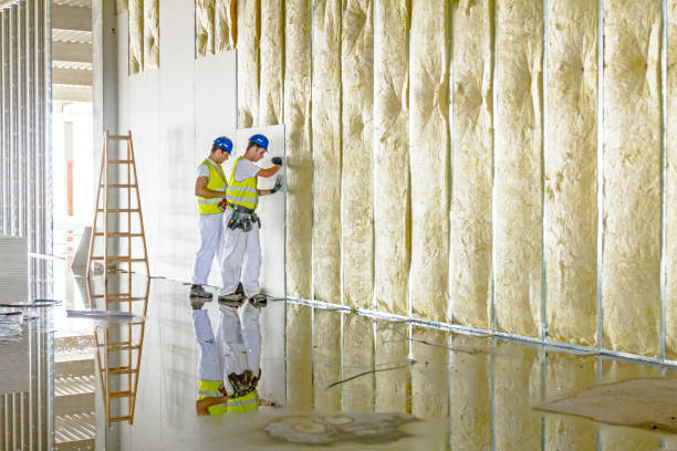 Best Local Insulation Services  in Roanoke, IN